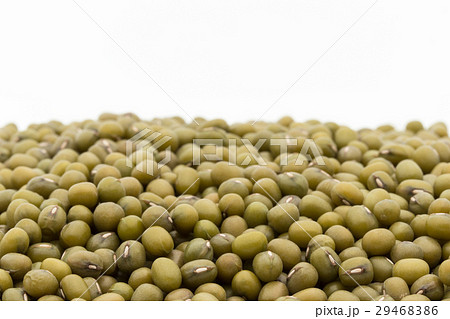 緑豆：Mung Bean 29468386