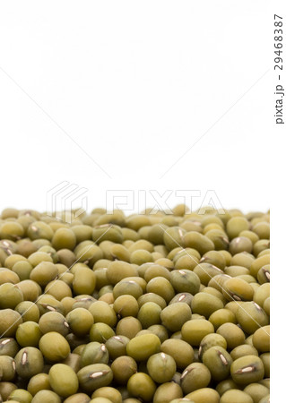 緑豆：Mung Bean 29468387