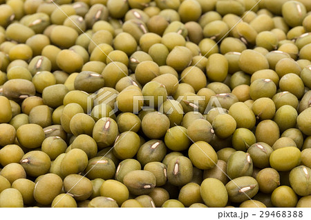 緑豆：Mung Bean 29468388