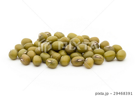 緑豆：Mung Bean 29468391