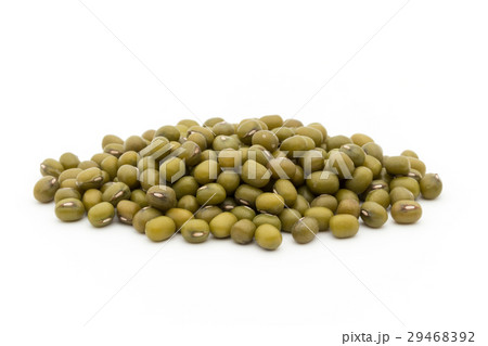 緑豆：Mung Bean 29468392