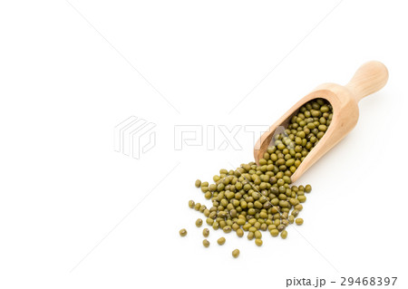 緑豆：Mung Bean 29468397