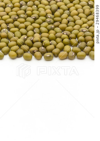 緑豆：Mung Bean 29468399