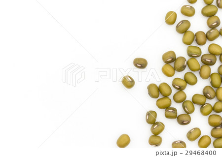 緑豆：Mung Bean 29468400