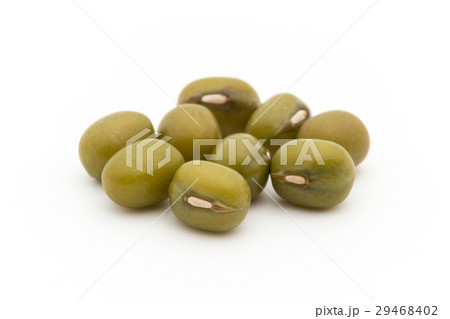 緑豆：Mung Bean 29468402