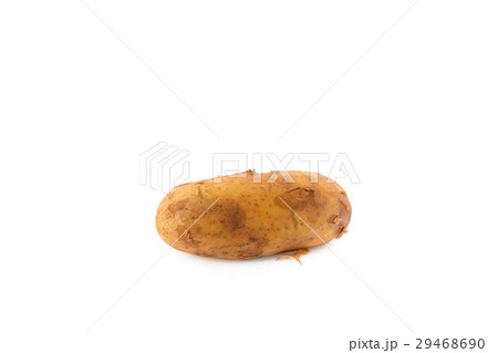 Potato on white background. Potato on white background. 29468690