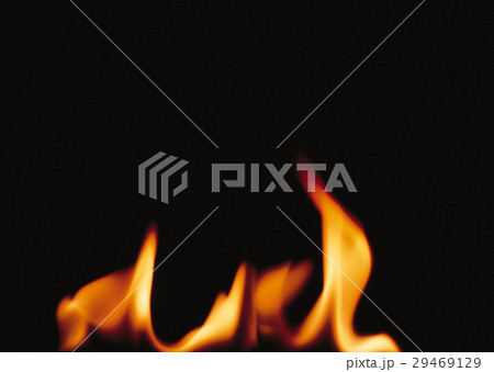 炎 炎 29469129