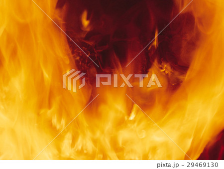 炎 炎 29469130