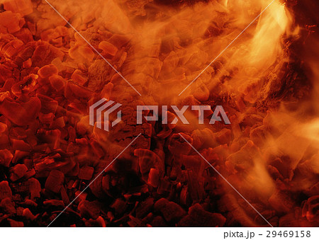 炭火 炭火 29469158