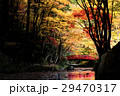 紅葉 29470317