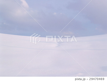 雪原 雪原 29470469