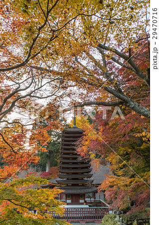 奈良 談山神社 紅葉 ライトアップ 29470716