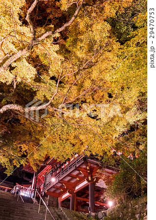 奈良 談山神社 紅葉 ライトアップ 29470753