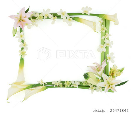 花のフレーム 花のフレーム 29471342