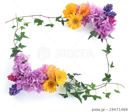 花のフレーム 花のフレーム 29471469