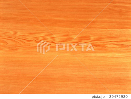 カラマツ 29472920