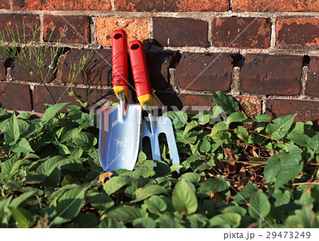 シャベルとフォーク 29473249