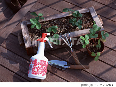 園芸道具 29473263
