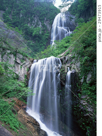滝 29473915
