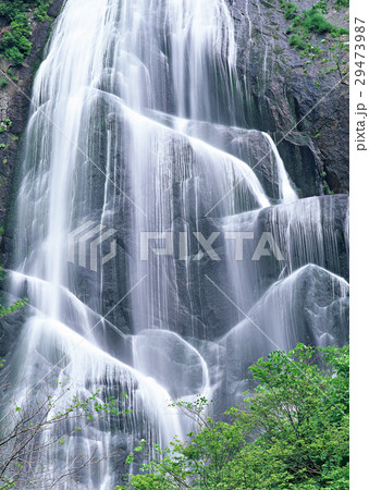 滝 滝 29473987