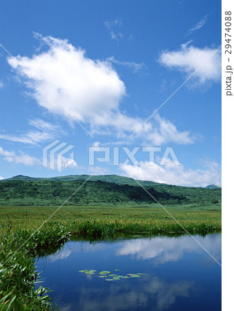 湿原 29474088