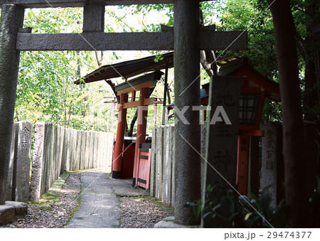 鳥居 鳥居 29474377