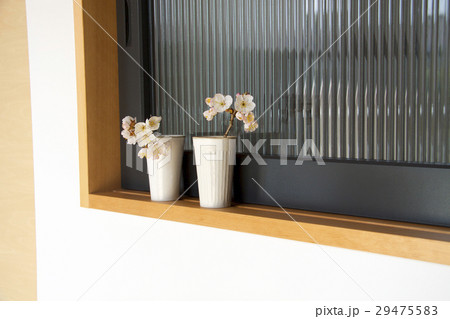 窓辺の桜の花生け 窓辺の桜の花生け 29475583
