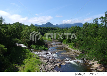 豊平川　南区　石山 29475853
