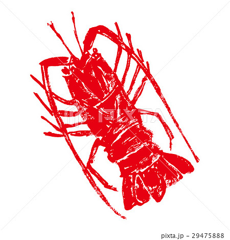 伊勢エビ えび 水彩画 伊勢エビ えび 水彩画 29475888