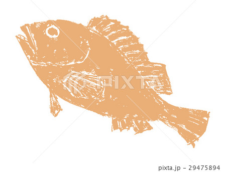 かさご　水彩画 29475894