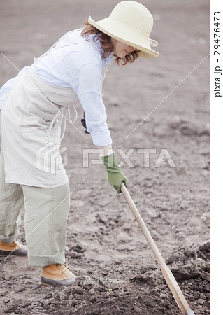 農業女子  農業女子  29476473