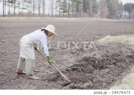 農業女子　 29476475