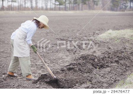 農業女子 農業女子 29476477