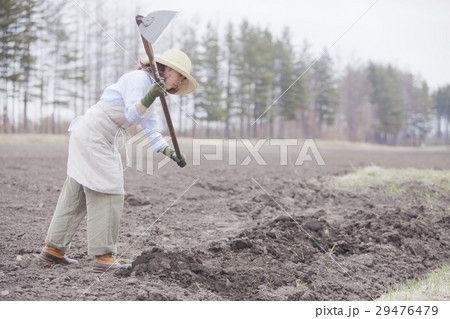 農業女子 農業女子 29476479