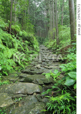 熊野古道　馬越峠 29476571