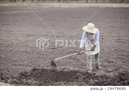 農業女子 農業女子 29476690