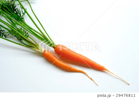 白バックの上のニンジン 29476811