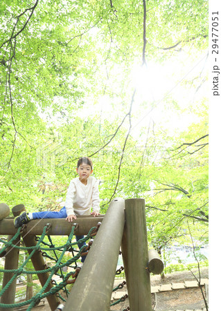 公園で遊ぶ子供 29477051