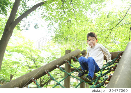 公園で遊ぶ子供 公園で遊ぶ子供 29477060