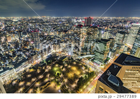 新宿の夜景 29477389