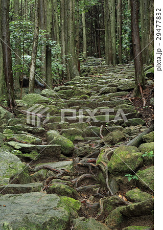 熊野古道　松本峠 29477832