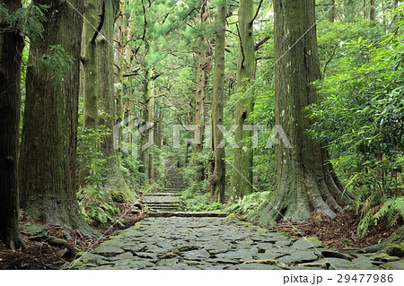 熊野古道 大門坂 熊野古道 大門坂 29477986
