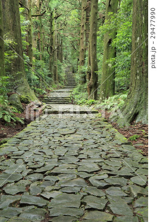 熊野古道　大門坂 29477990