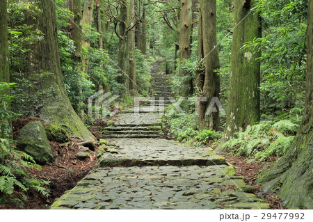 熊野古道 大門坂 熊野古道 大門坂 29477992
