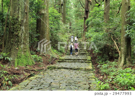 熊野古道 大門坂 熊野古道 大門坂 29477993