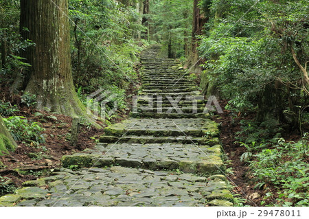 熊野古道　大門坂 29478011
