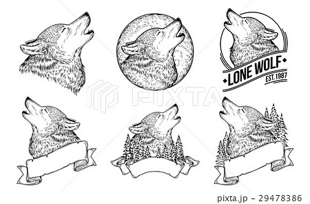 Set vector illustrations of a howling wolves 29478386