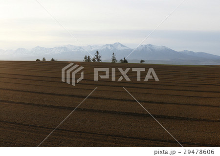 早春の大地 29478606