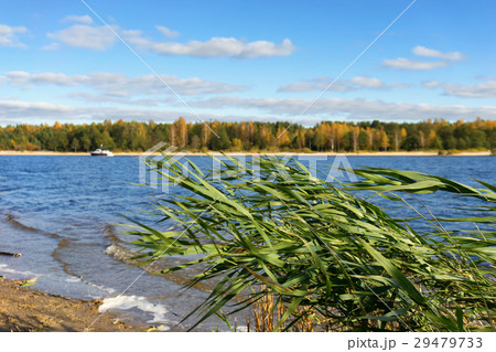 Wind on the banks of the river in autumn 29479733