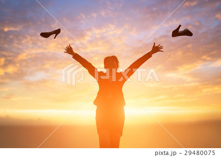 silhouette of business woman 29480075